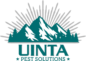 Uinta Pest Solutions